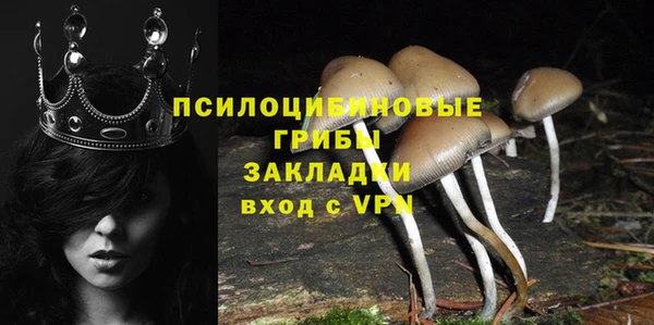 apvp Алексеевка