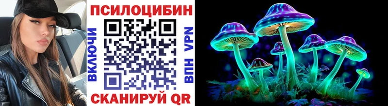 Псилоцибиновые грибы Cubensis  Стародуб 
